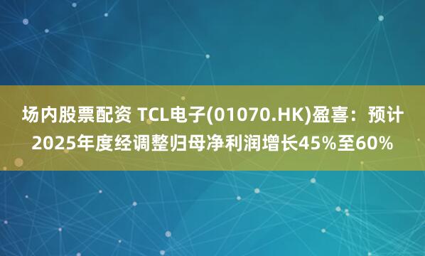 场内股票配资 TCL电子(01070.HK)盈喜：预计2025年度经调整归母净利润增长45%至60%
