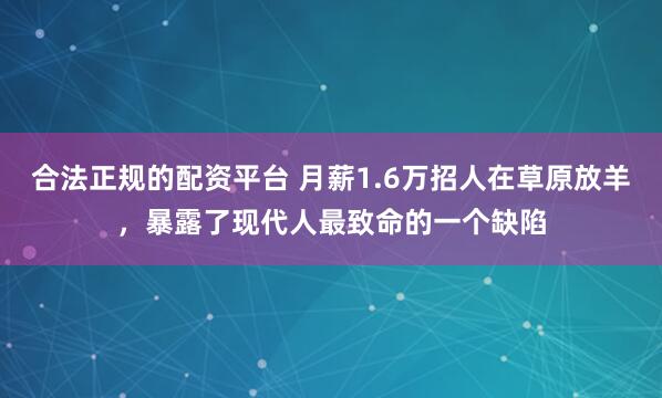合法正规的配资平台 月薪1.6万招人在草原放羊，暴露了现代人最致命的一个缺陷