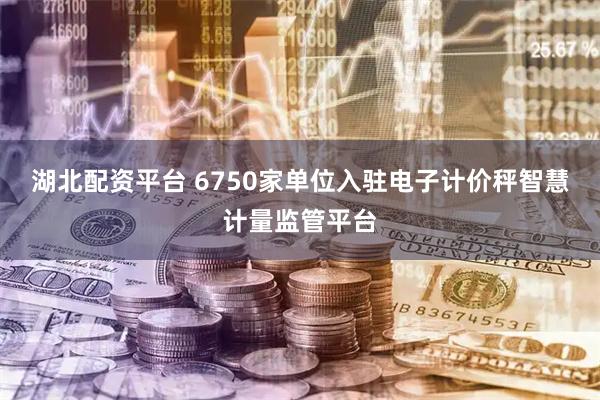 湖北配资平台 6750家单位入驻电子计价秤智慧计量监管平台